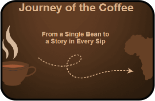 Infographic screen screenshot